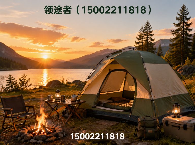南开区领途者展示图